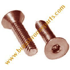 Silicon Bronze Allen Bolts