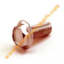 Silicon Bronze Flange Bolts
