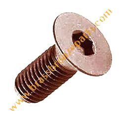 Silicon Bronze Bolts