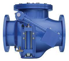 Swing Check Valve