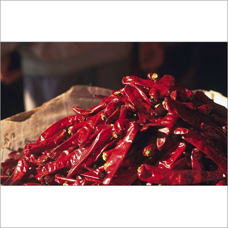 Long Hot & Red Chilli Pepper
