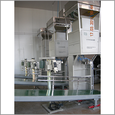 Packing Machine - Stainless Steel, Conveyor Height: 860-910Mm, Filling Size: 5Ml-1000Ml+ | Efficient Design, High Speed, Low Maintenance, No Bottle, No Fill