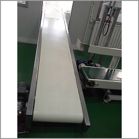 Belt Conveyor