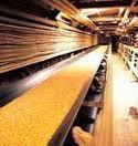 Oil Resistant Conveyor Belts