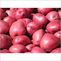Potato