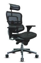 Executive Office Chair