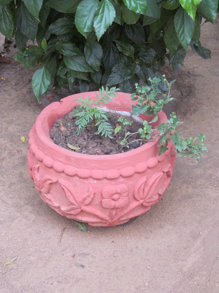 Garden Sandstone Port