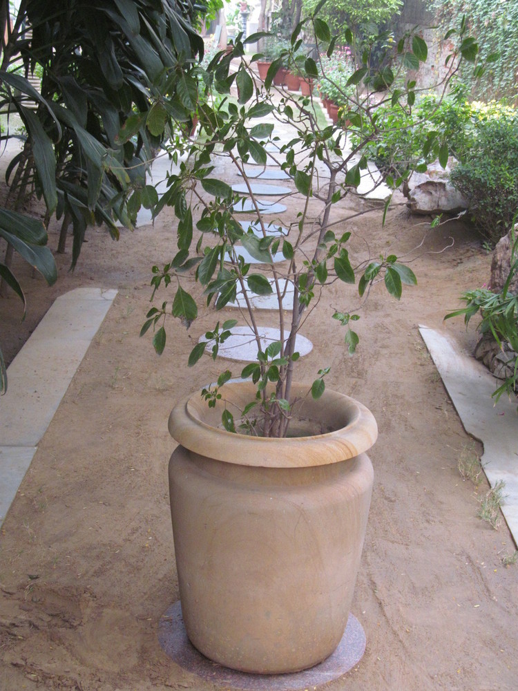 Sandstone Handicraft Port