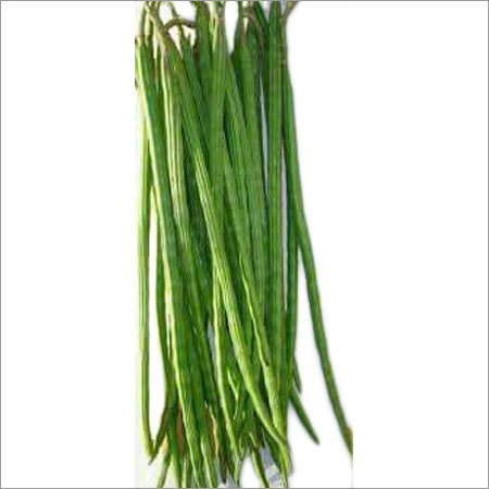 Drumstick Vegetable