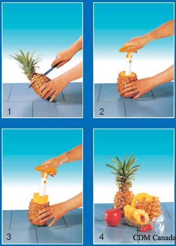 Pineapple Cutter