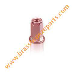 Silicon Bronze Hex Rivet Nuts