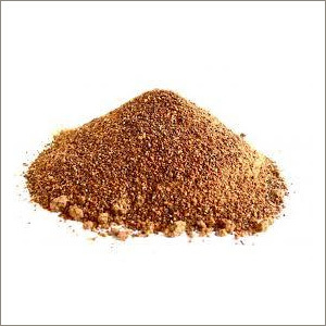 Ficus Religiosa Powder