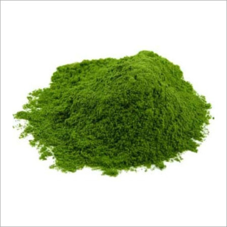 Plectranthus Amboinicus Powder