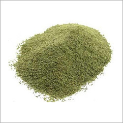 Phyllanthus Niruri Powder