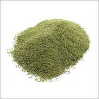 Phyllanthus Niruri Powder