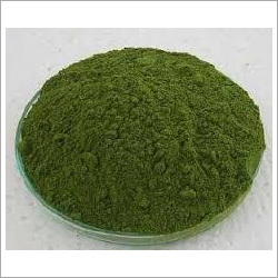 Acalypha Indica Powder