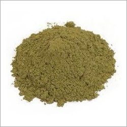 Basil Leaves Powder