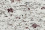 White Galaxy Granite