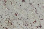 Amba White Granite
