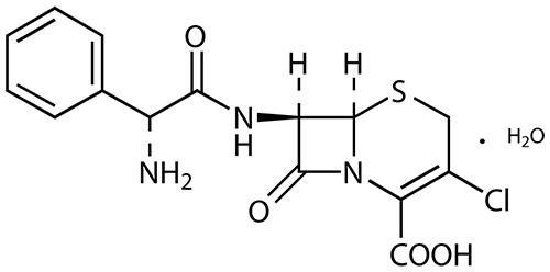 Cefaclor Powder