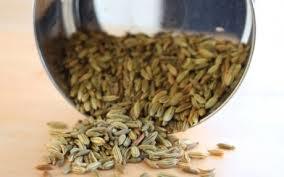 SEMI EUROPEAN- FENNEL sEED Bulb