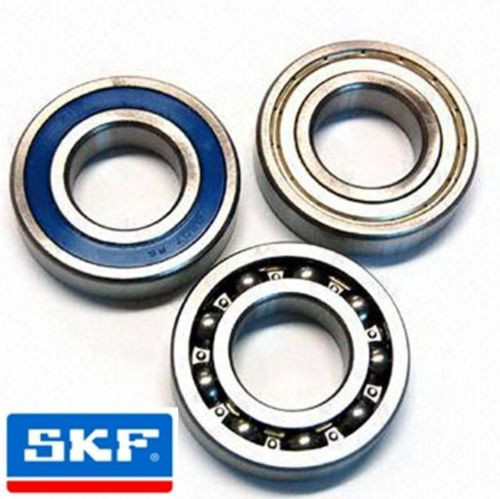 SKF Stainless Steel Deep Groove Ball Bearings