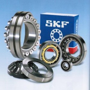 MultiRow Full Complement Cylindrical RollerBearing