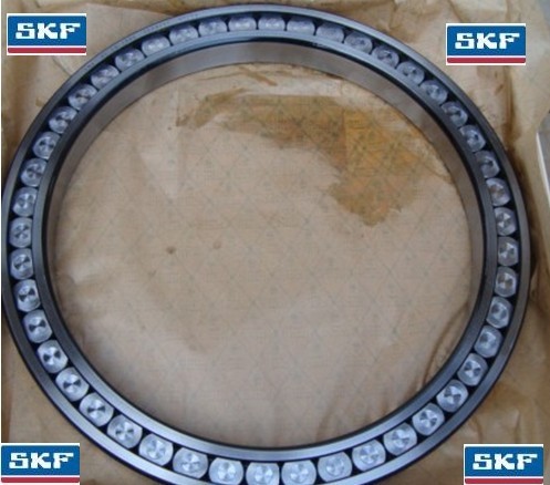 DoubleRow FullComplement Cylindrical RollerBearing