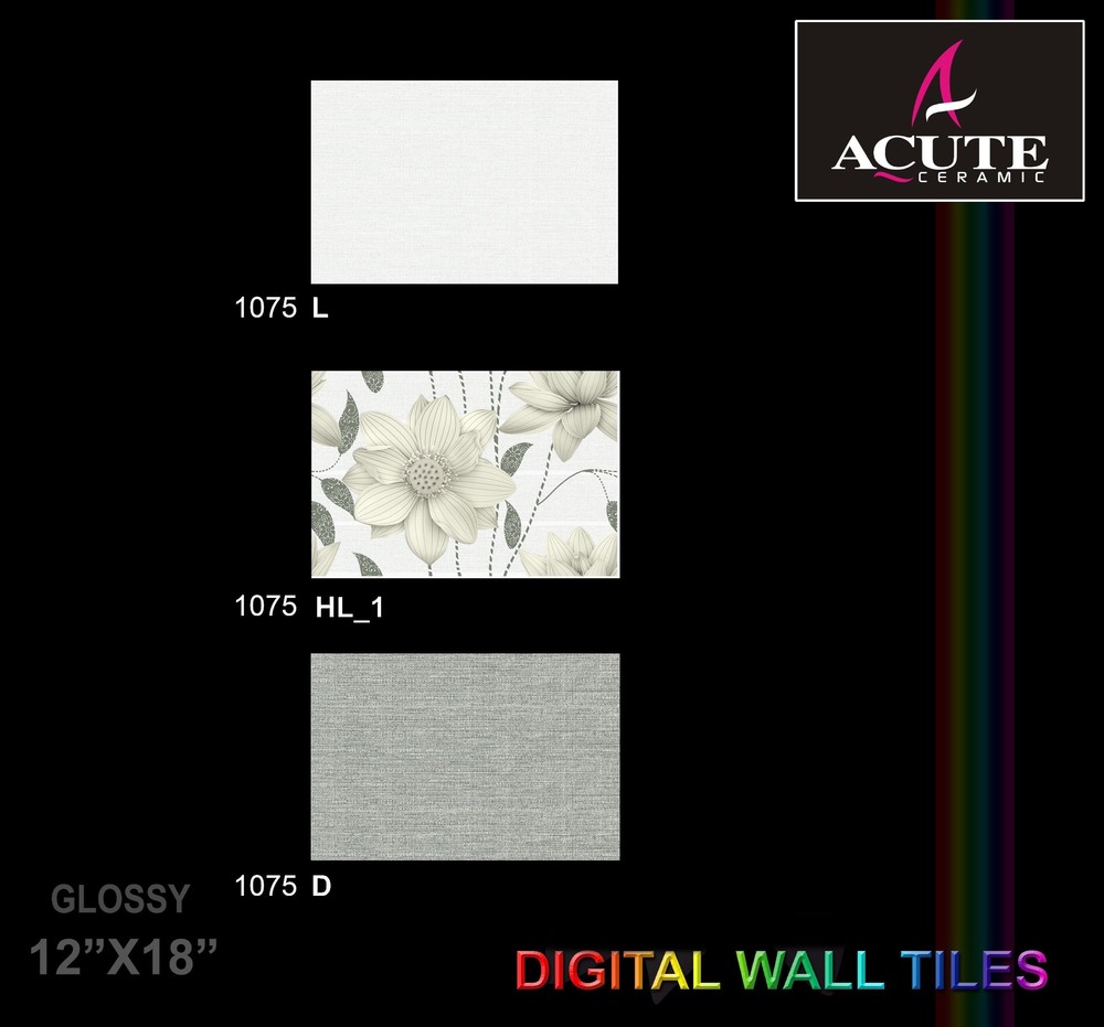 Indoor Ceramic Wall Tiles - Ceramic, 300 x 450 mm, White | Polished Finish, Rectangle Shape, OEM Available, Suitable for Walls and Floors