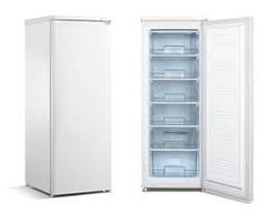 Vertical Freezer