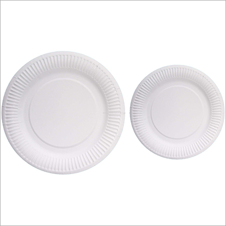 Disposable Paper Plate
