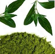Kariyat