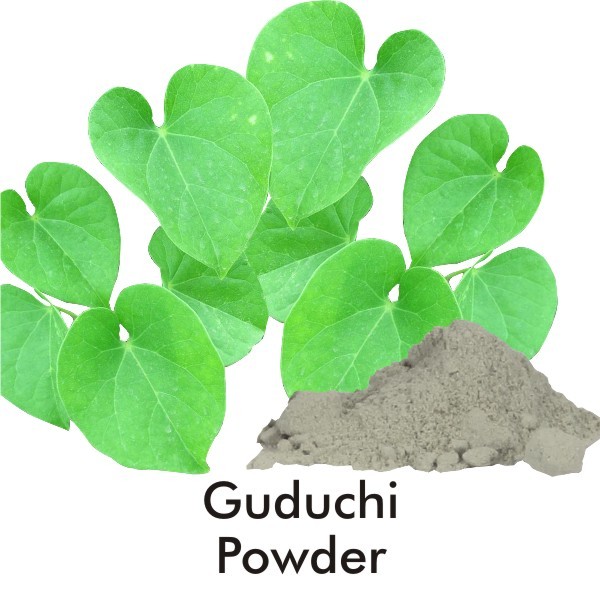 Guduchi Powder