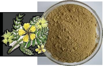 Tribulus Terrestrial Powder