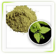 Lawsonia Inermis Linn Powder