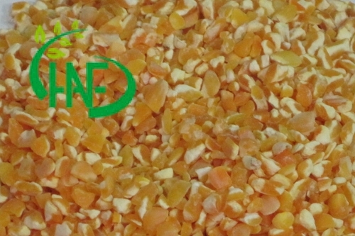 Yellow Maize Grit Efficacy: Feed Preservatives