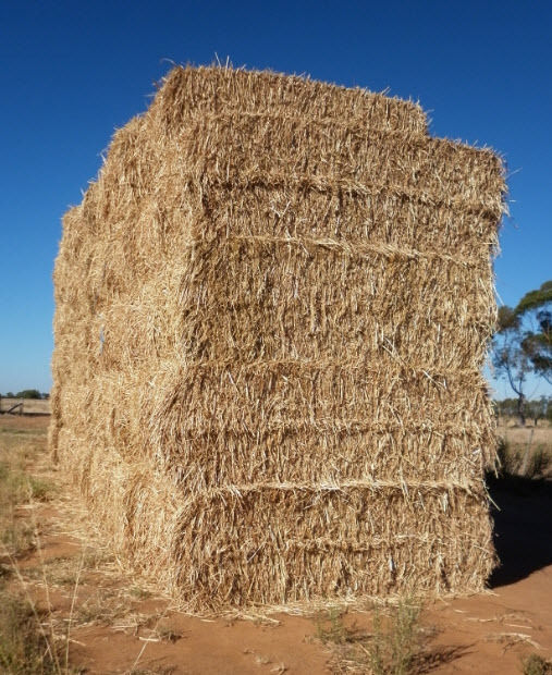 Brown Sorghum Hay