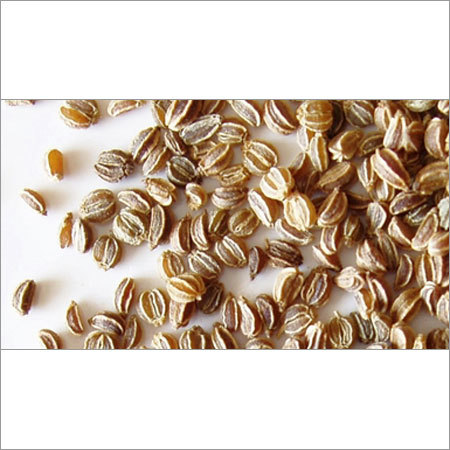 Celery Seeds