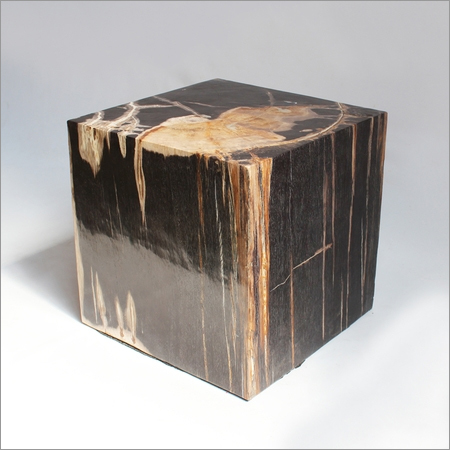 Square Petrified Wood Side Table