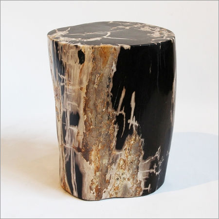 Petrified Wood Stool