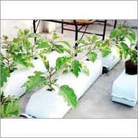 Hydroponic Grow Bags