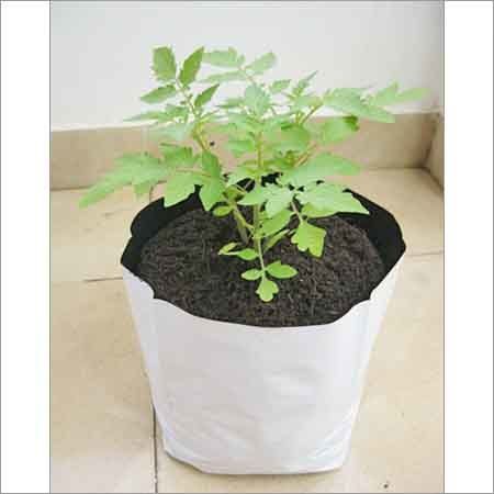 LDPE White Grow Bag