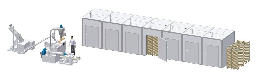 Pasta line capacity of 250 kg/hr