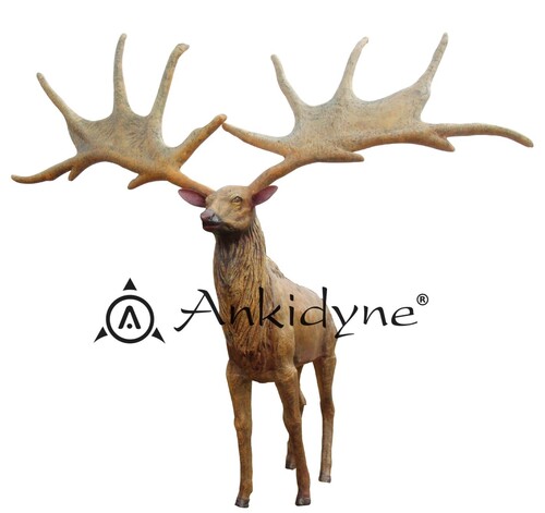Evolution Park Megaloceros