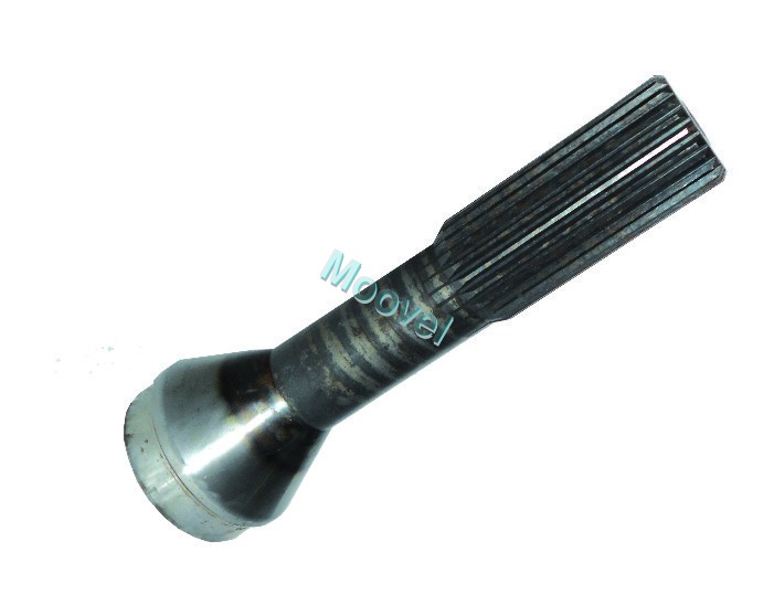 Silver Yoke Rear Teeth