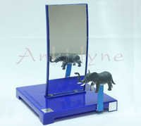 Images due to Curved Mirrors