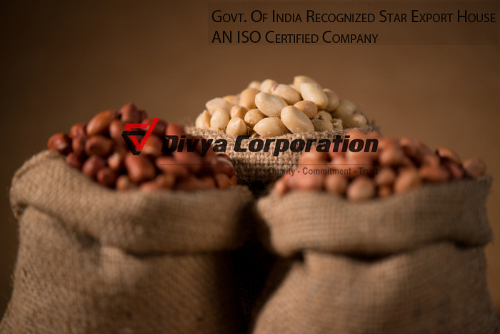 Fresh Blanched Peanuts Exporter