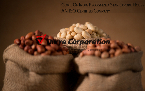 Blanched Peanut Exporter