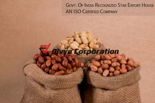 Fresh Groundnut Kernels Tj Java Exporter