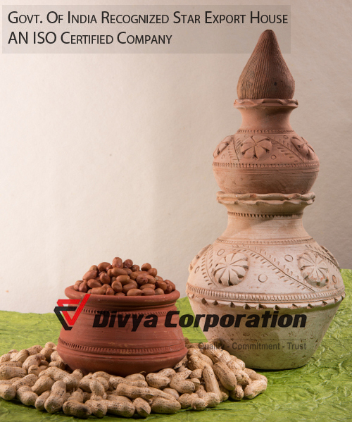 T J Java Peanut Exporter